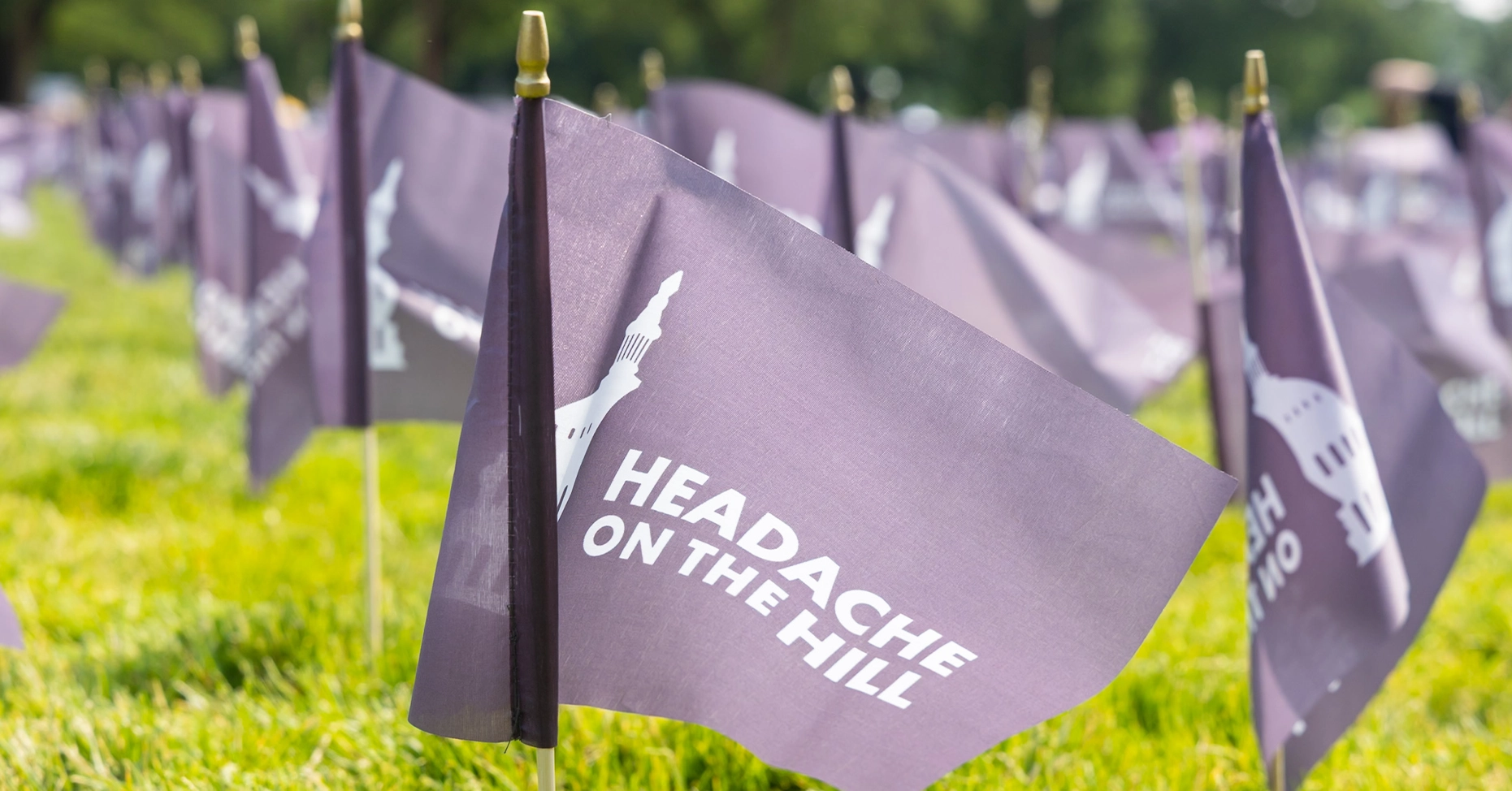 Headache on the Hill Purple flag 2026